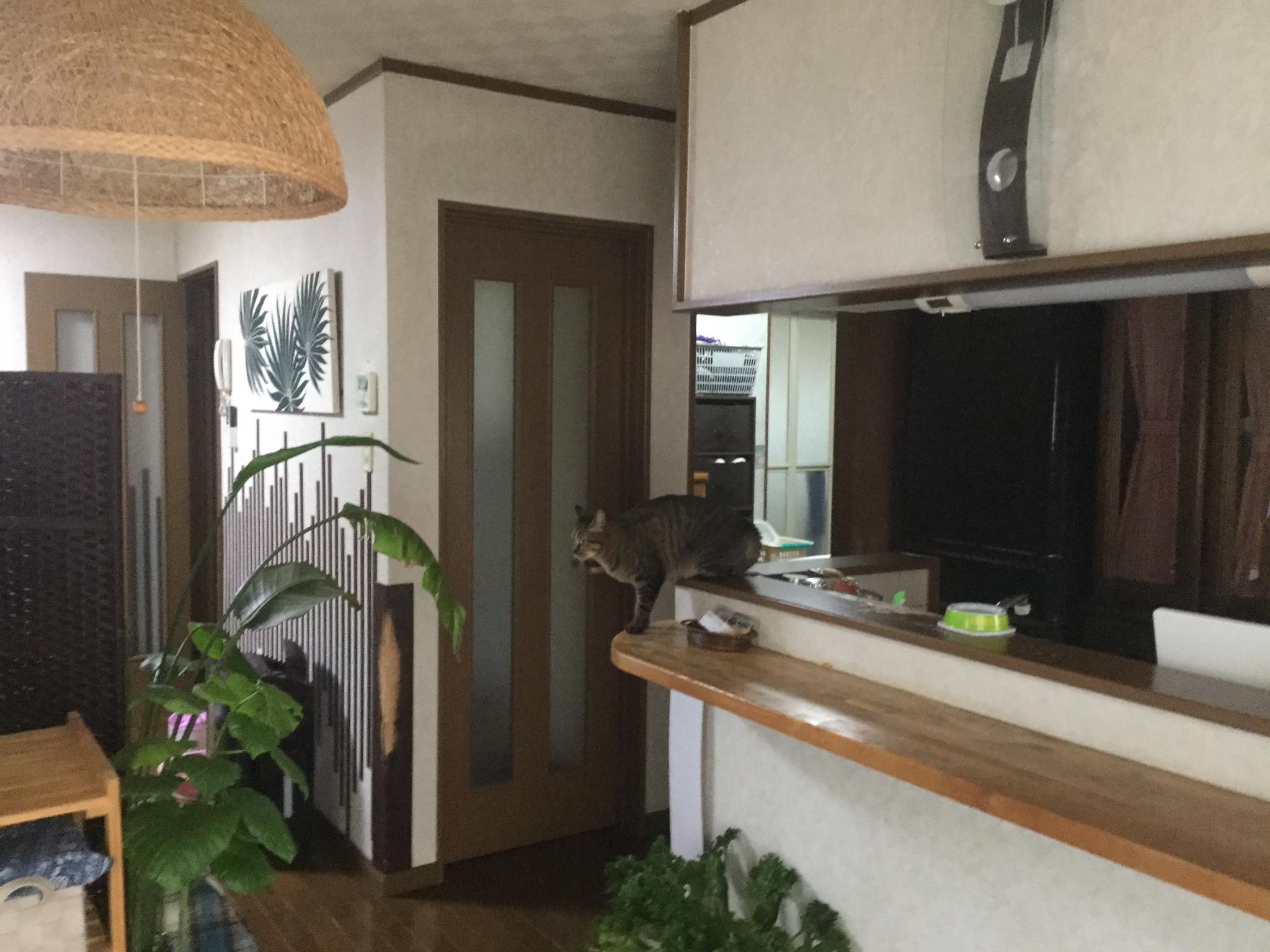 旅館のようなナチュナルなスタイル　