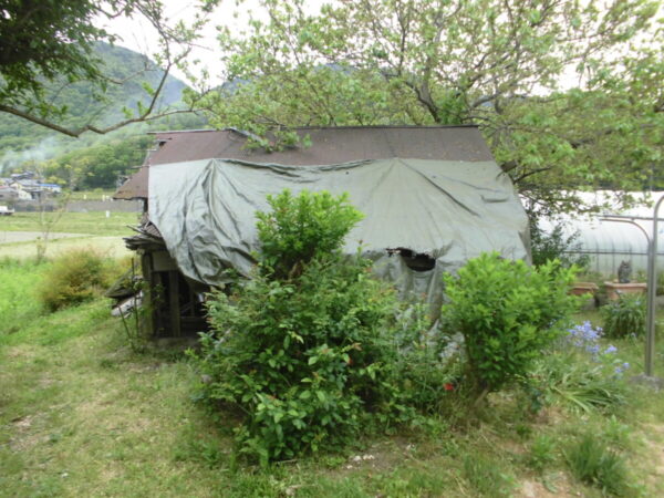 小屋の解体や木の伐採し広い屋根のある駐車場へ