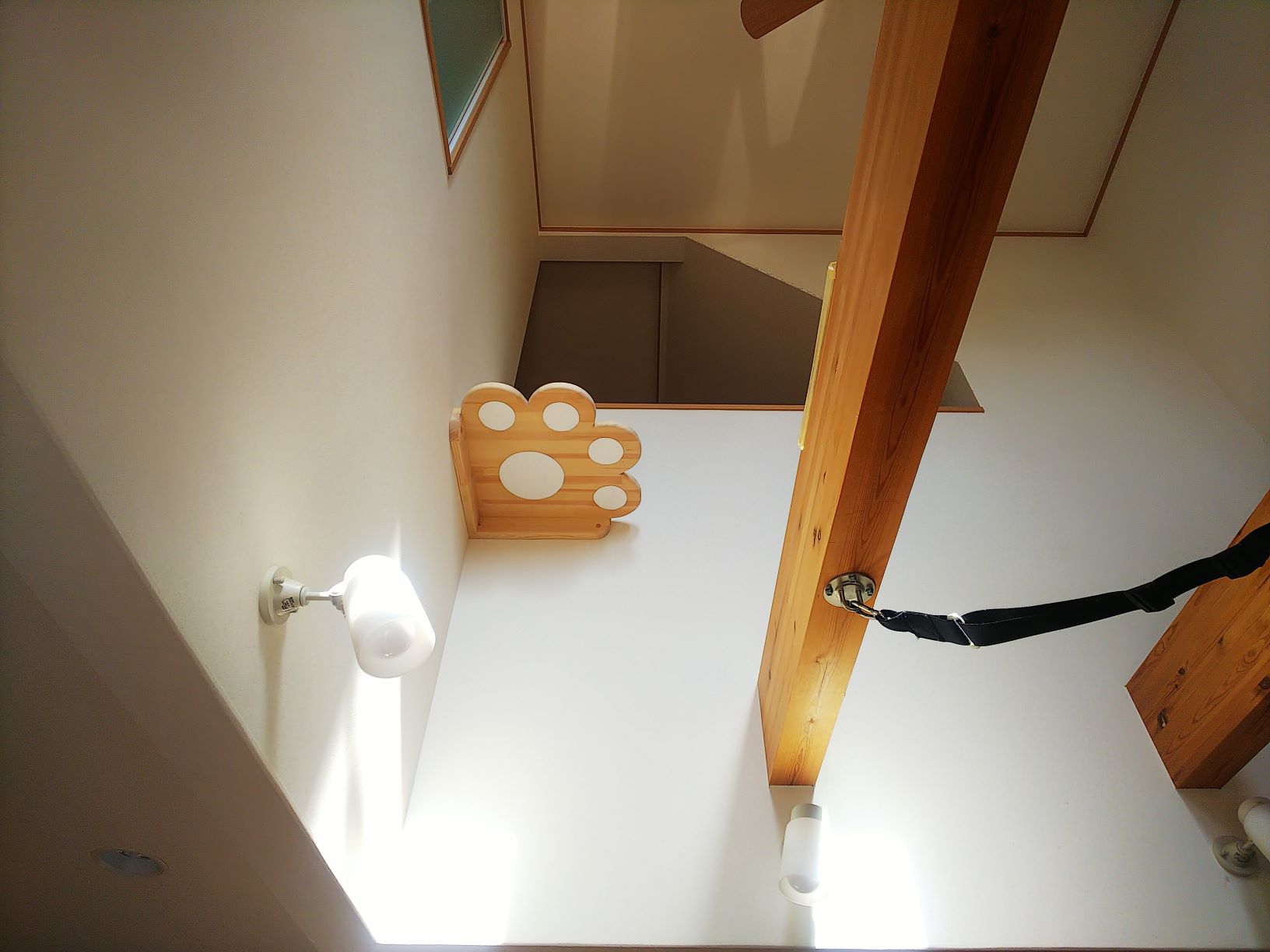 ペットと暮らす、コロナに負けるな