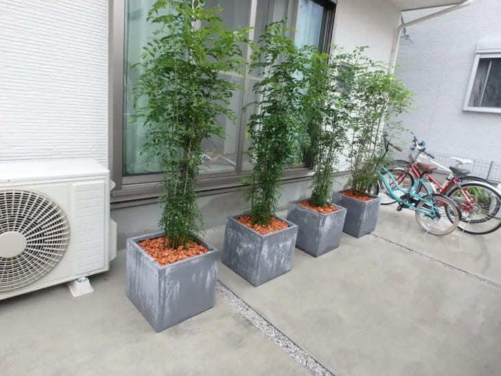 車がなくてもリビングを隠せる植栽を駐車場に設置