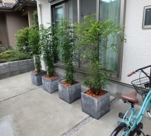 車がなくてもリビングを隠せる植栽を駐車場に設置