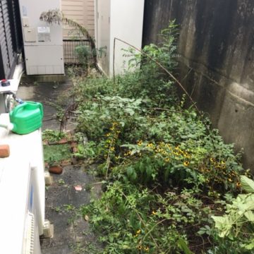 虫が寄りにくくなるよう地面からコンクリートに