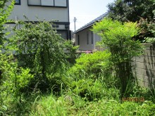 歩きやすさ・雑草対策に配慮したお庭のリフォーム