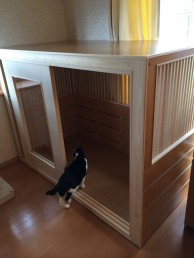 隔離が必要な猫ちゃんも一緒に過ごせるニャンハウス