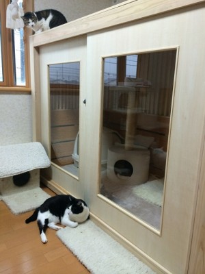 隔離が必要な猫ちゃんも一緒に過ごせるニャンハウス