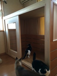 隔離が必要な猫ちゃんも一緒に過ごせるニャンハウス