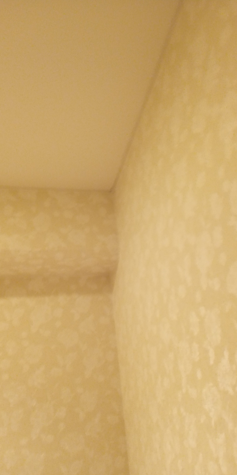 黄ばんだトイレの壁紙・床を張り替え