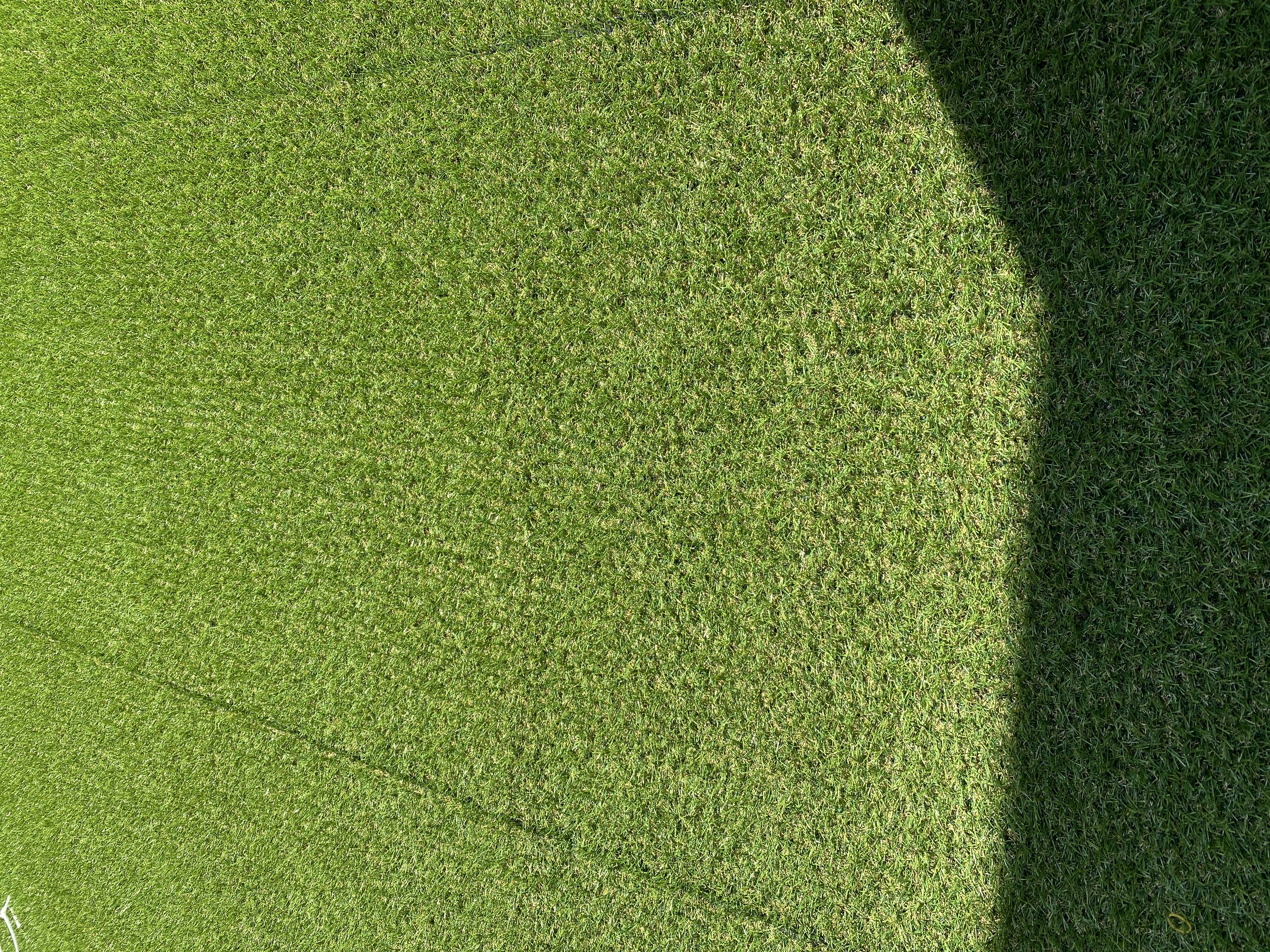 �q�ǂ�����������