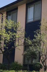 正反対の配色でお互いを鮮やかに見せる仕上がり