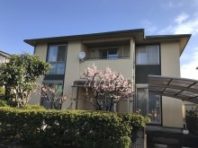 正反対の配色でお互いを鮮やかに見せる仕上がり