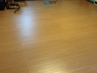 ペットの暮らしやすさを考え傷に強いフローリングに