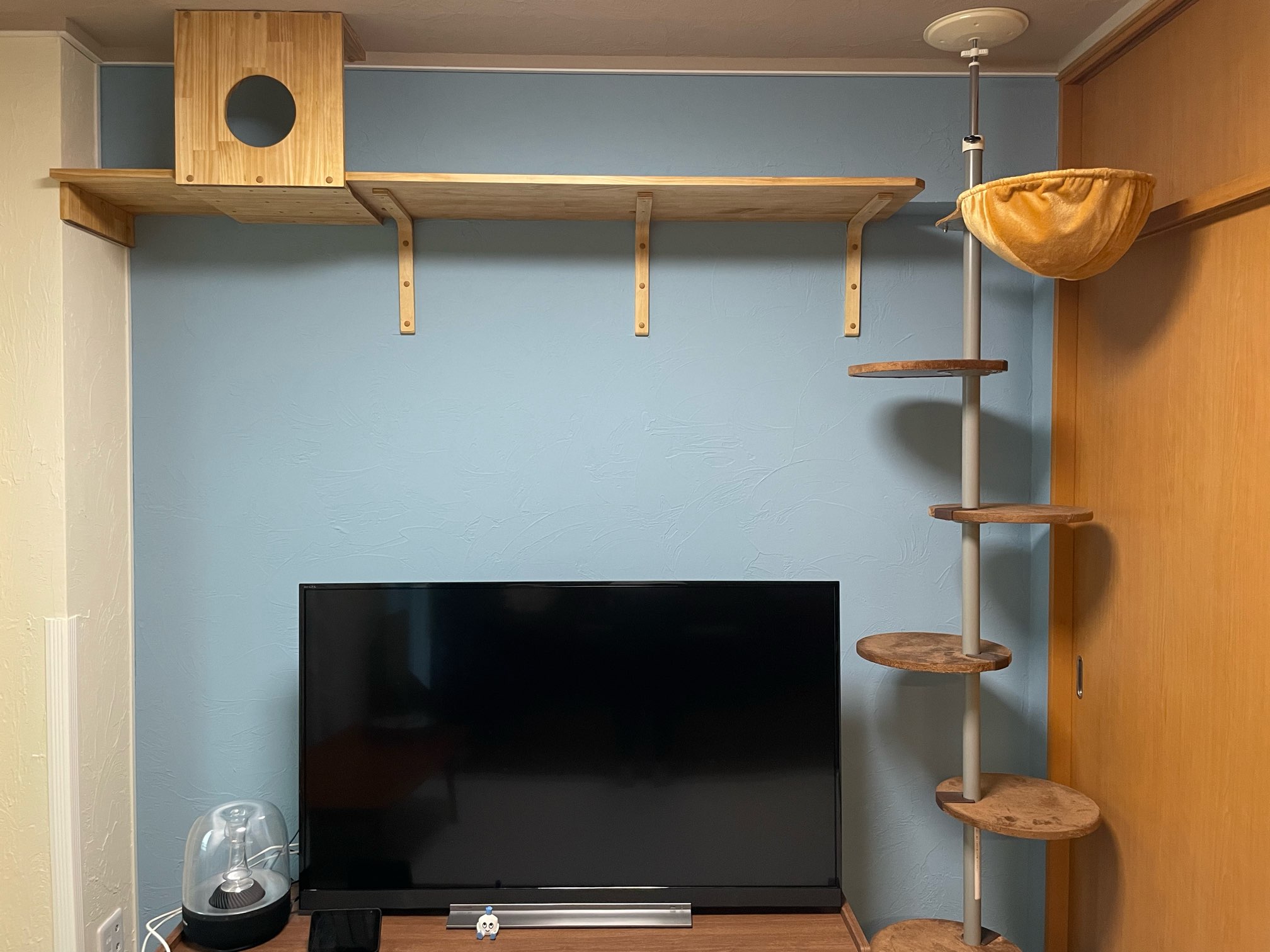猫にとって気持ちが良いリビング空間に施工