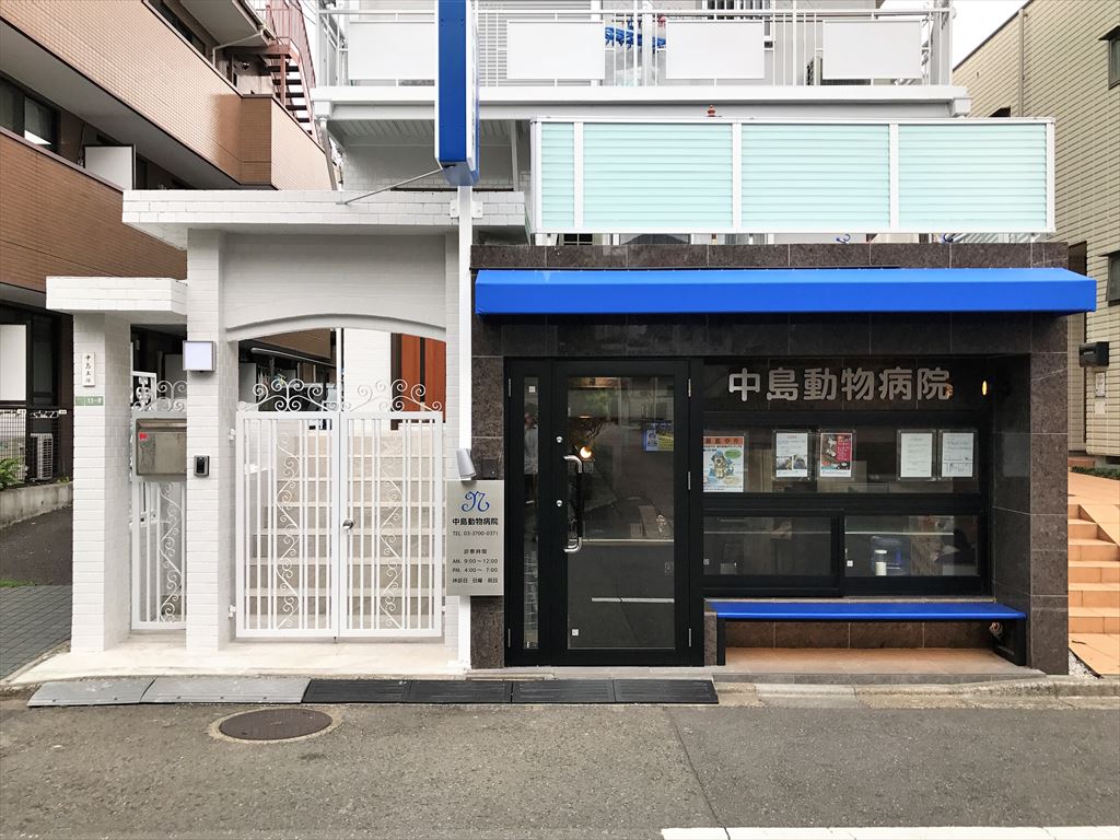 ブルーと木目調を取り入れた病院にリニューアル