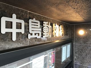 ブルーと木目調を取り入れた病院にリニューアル