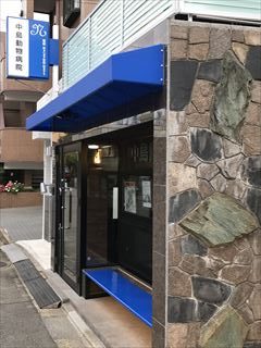 ブルーと木目調を取り入れた病院にリニューアル