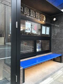 ブルーと木目調を取り入れた病院にリニューアル