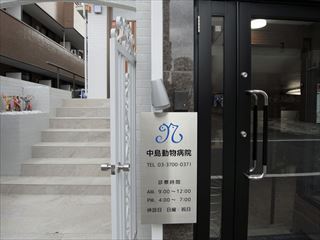 ブルーと木目調を取り入れた病院にリニューアル