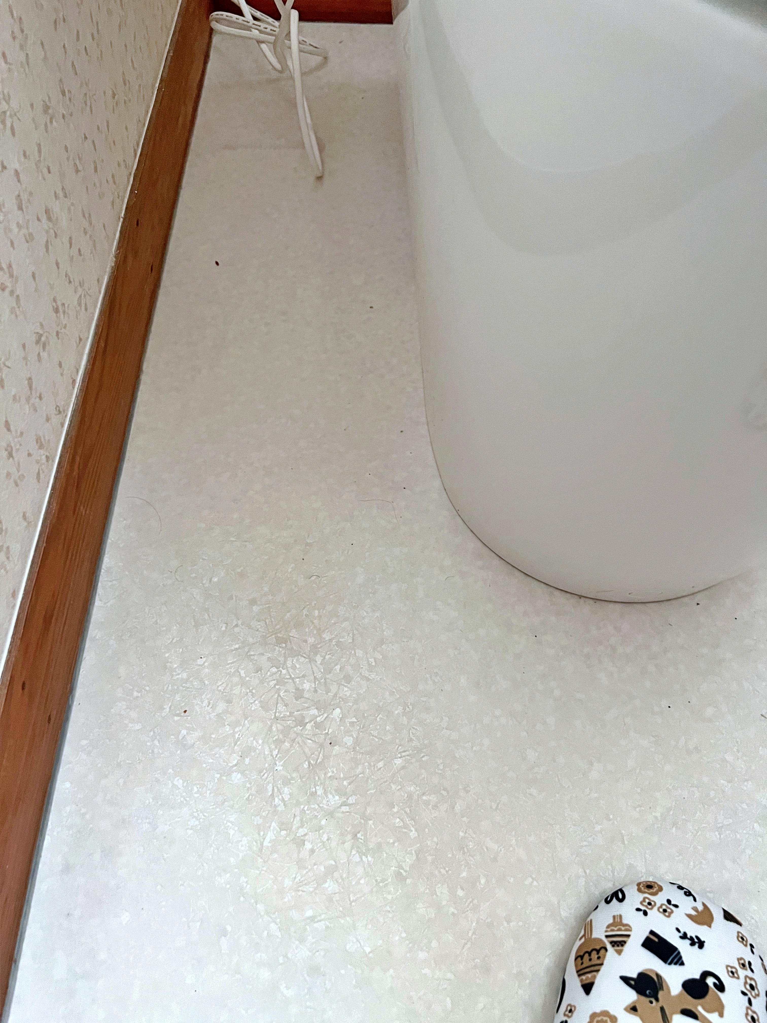 明るく清潔感あふれるトイレ空間へ