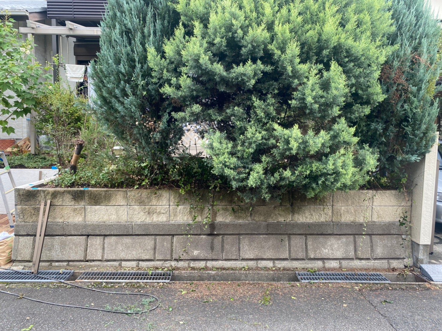 明るく日当たりの良い庭になりました！