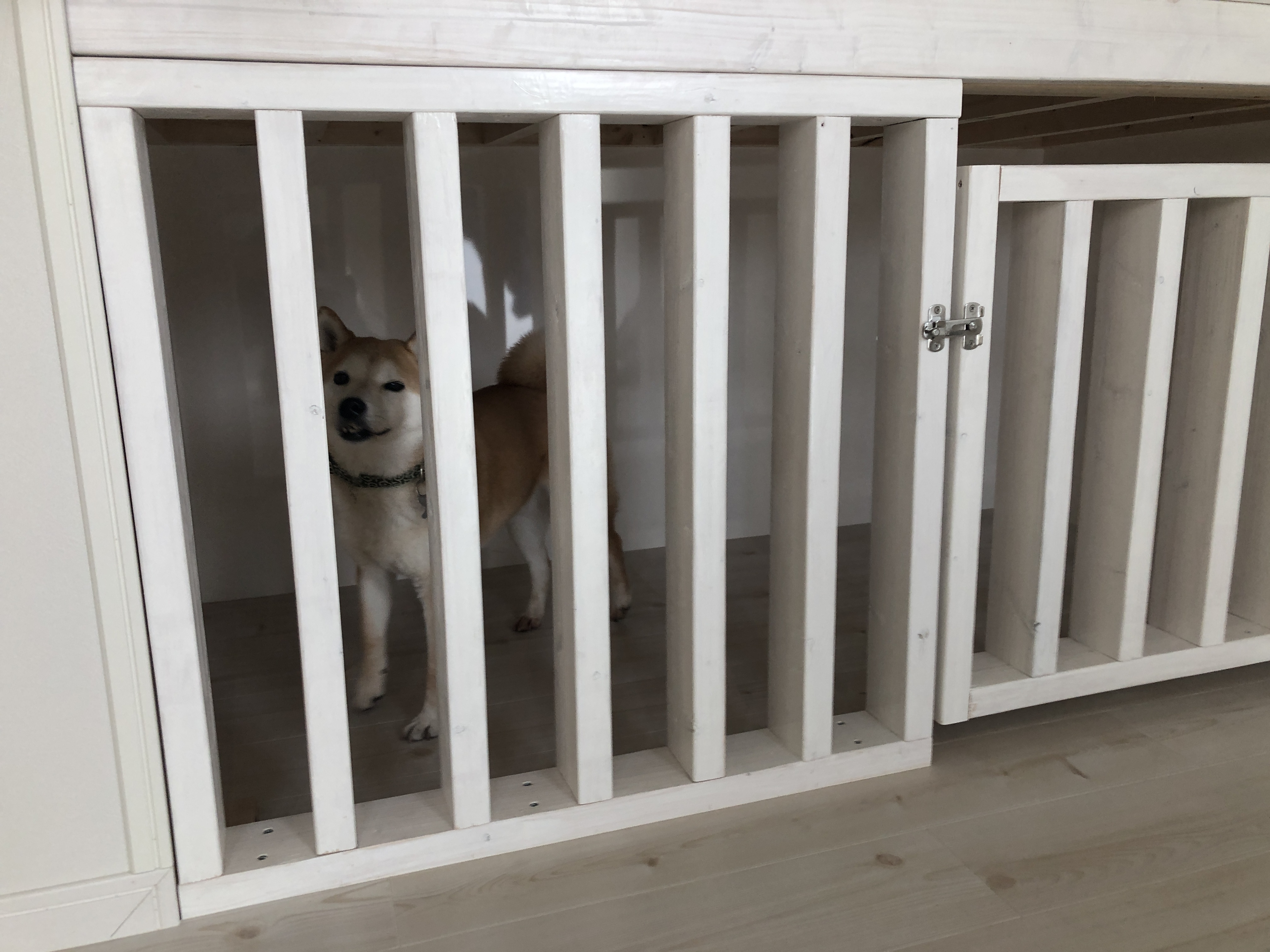 収納の下は愛犬のケージに！