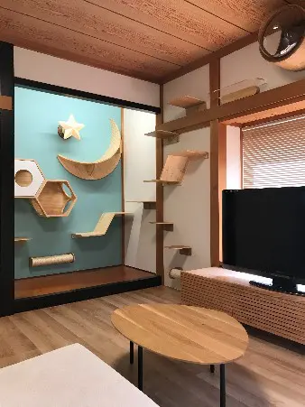 猫が快適に過ごせるを重視したオシャレな空間