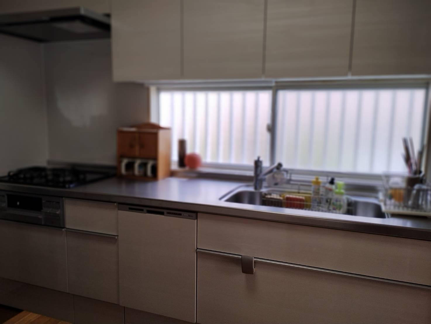 �V�����V�X�e���L�b�`���ɂ�����