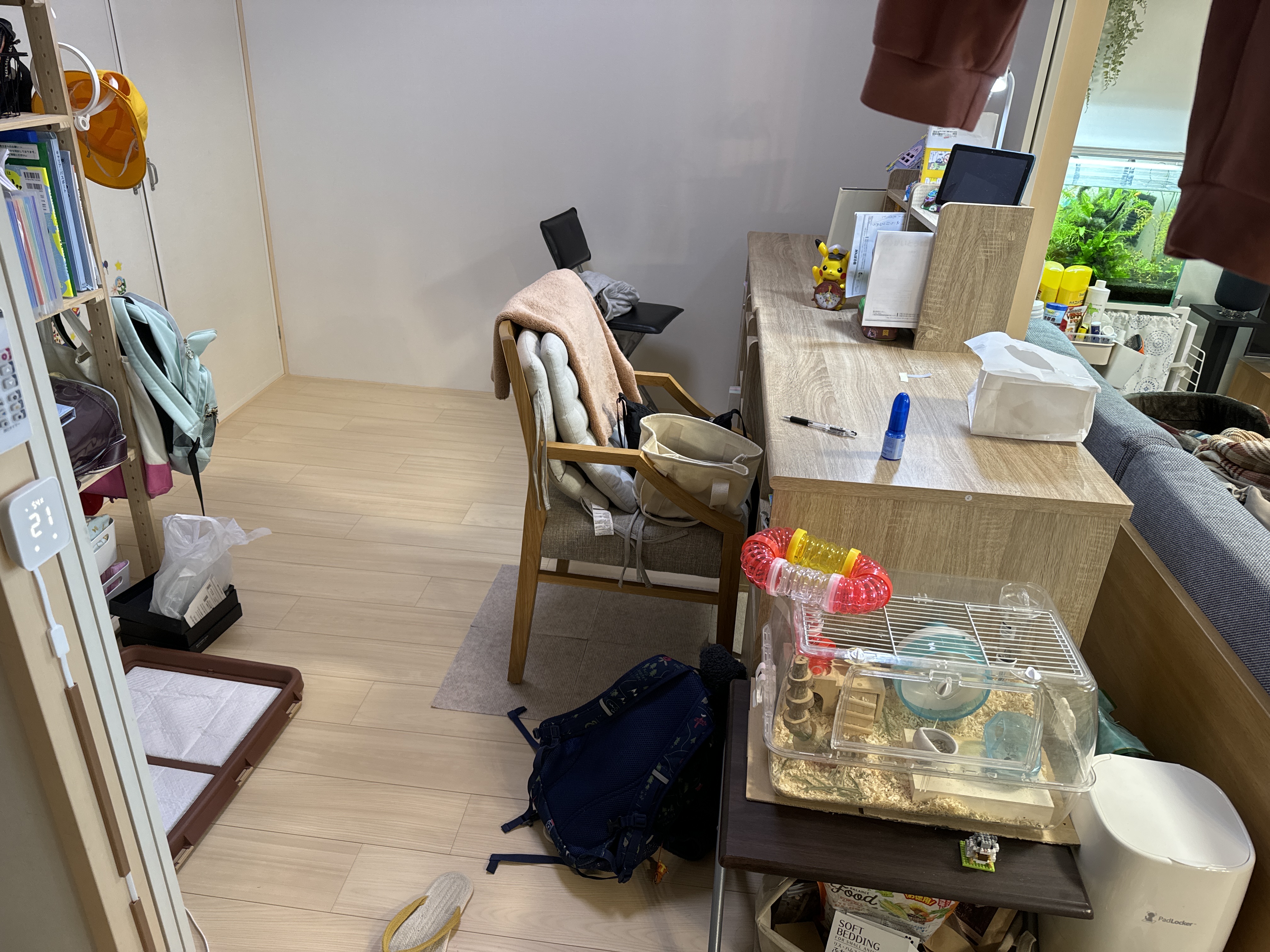 �q�������w���ɂ�����^�C�~���O�Řa�����m����