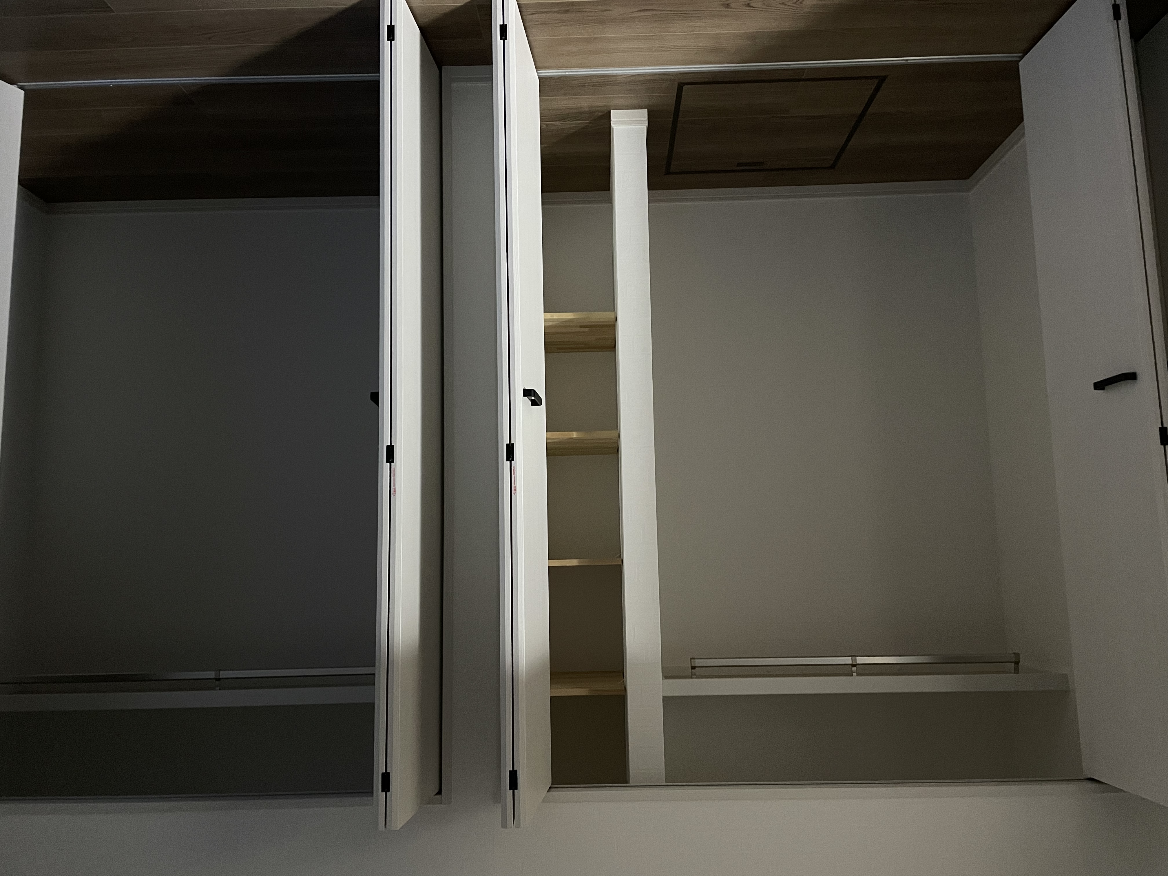 �|���̂��Ղ��m����