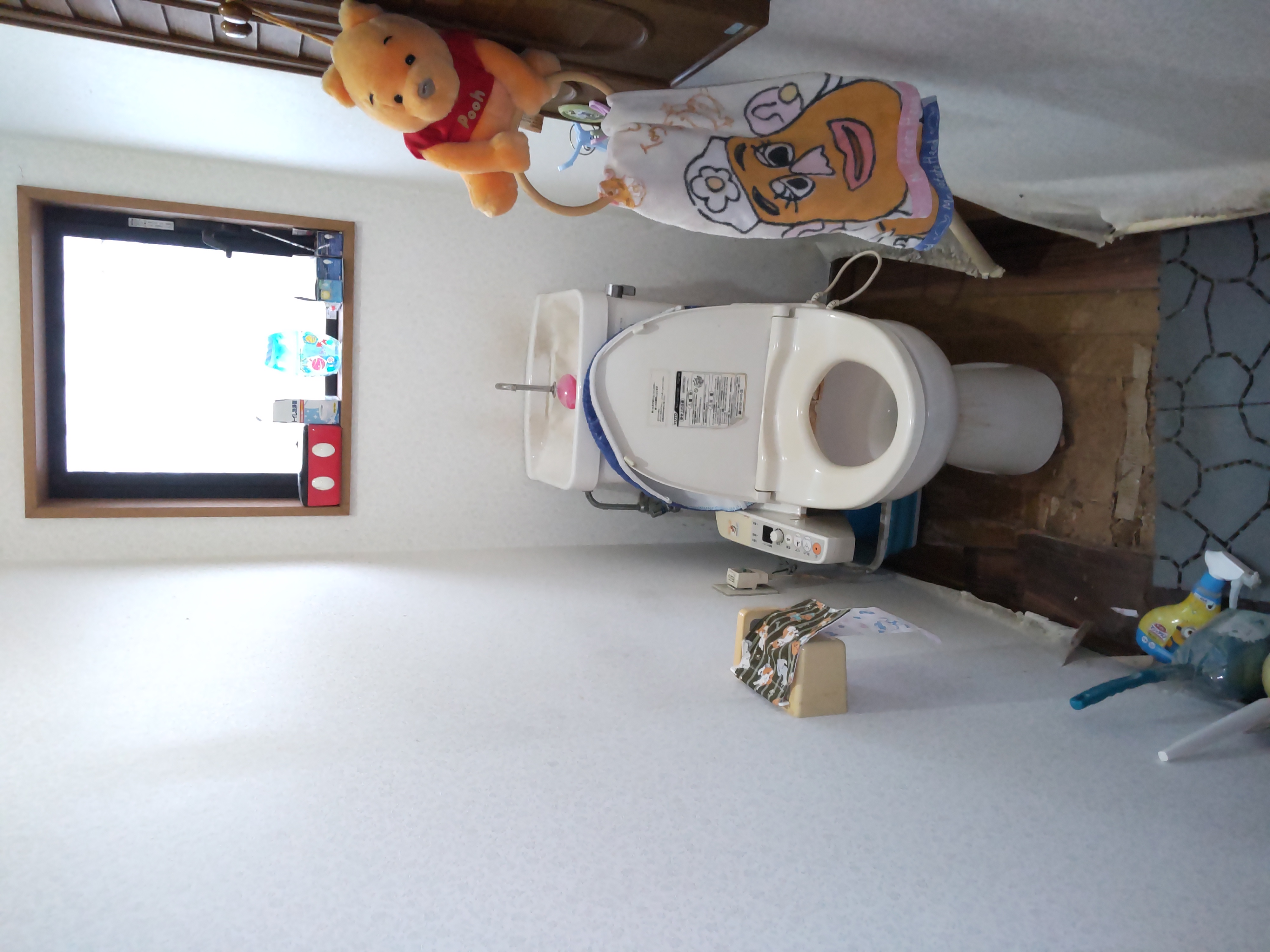 使ってみるとわかるアプリコットの良さ！