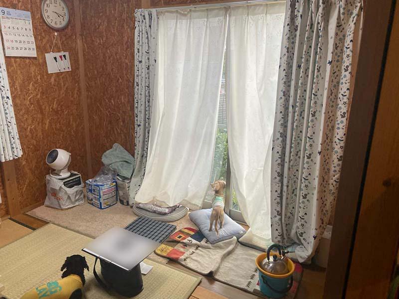 自宅の茶室 ~最高の和室リノベーション~