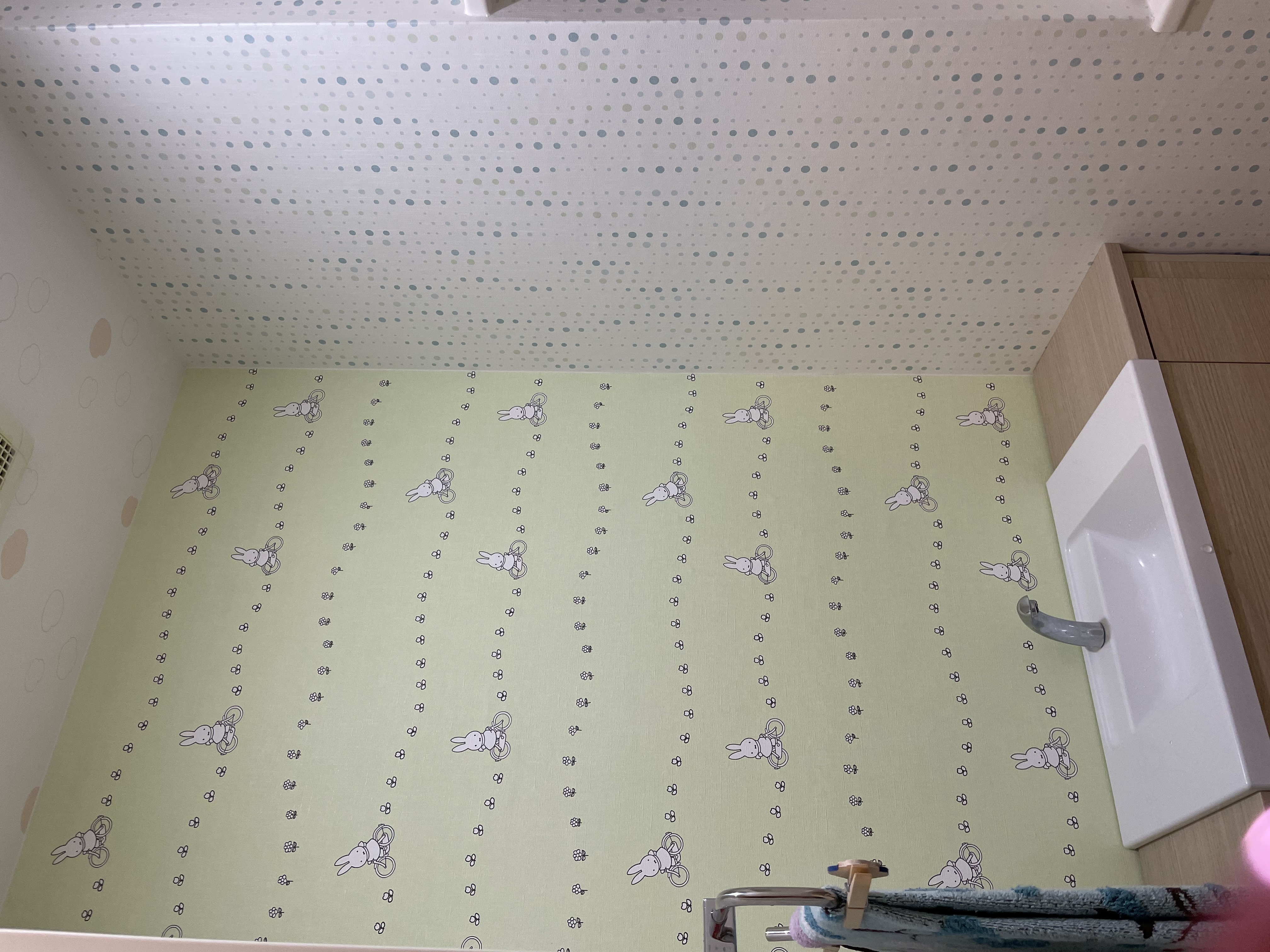 ���ʂ̕ǎ����D���ȃ~�b�t�B�[�ɁB