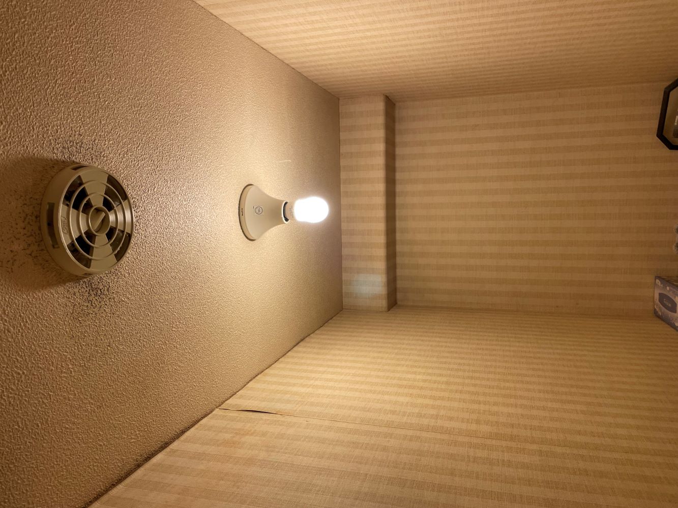 壁紙が鮮やか！トイレリフォーム