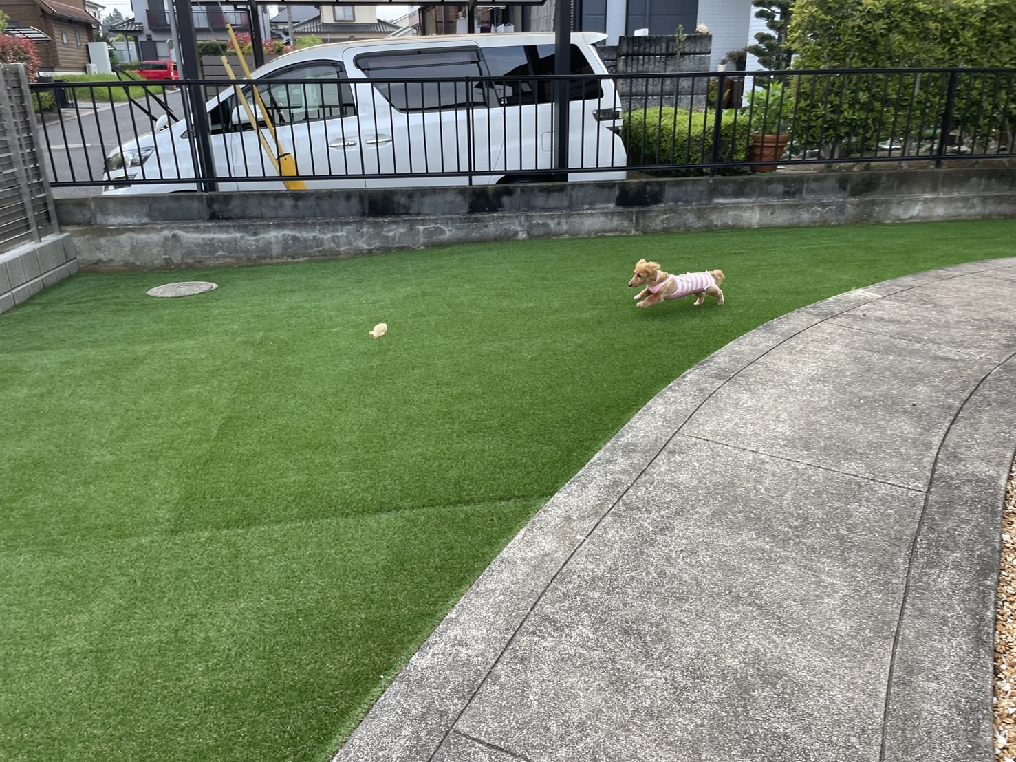 わんちゃんのためのお庭つくり