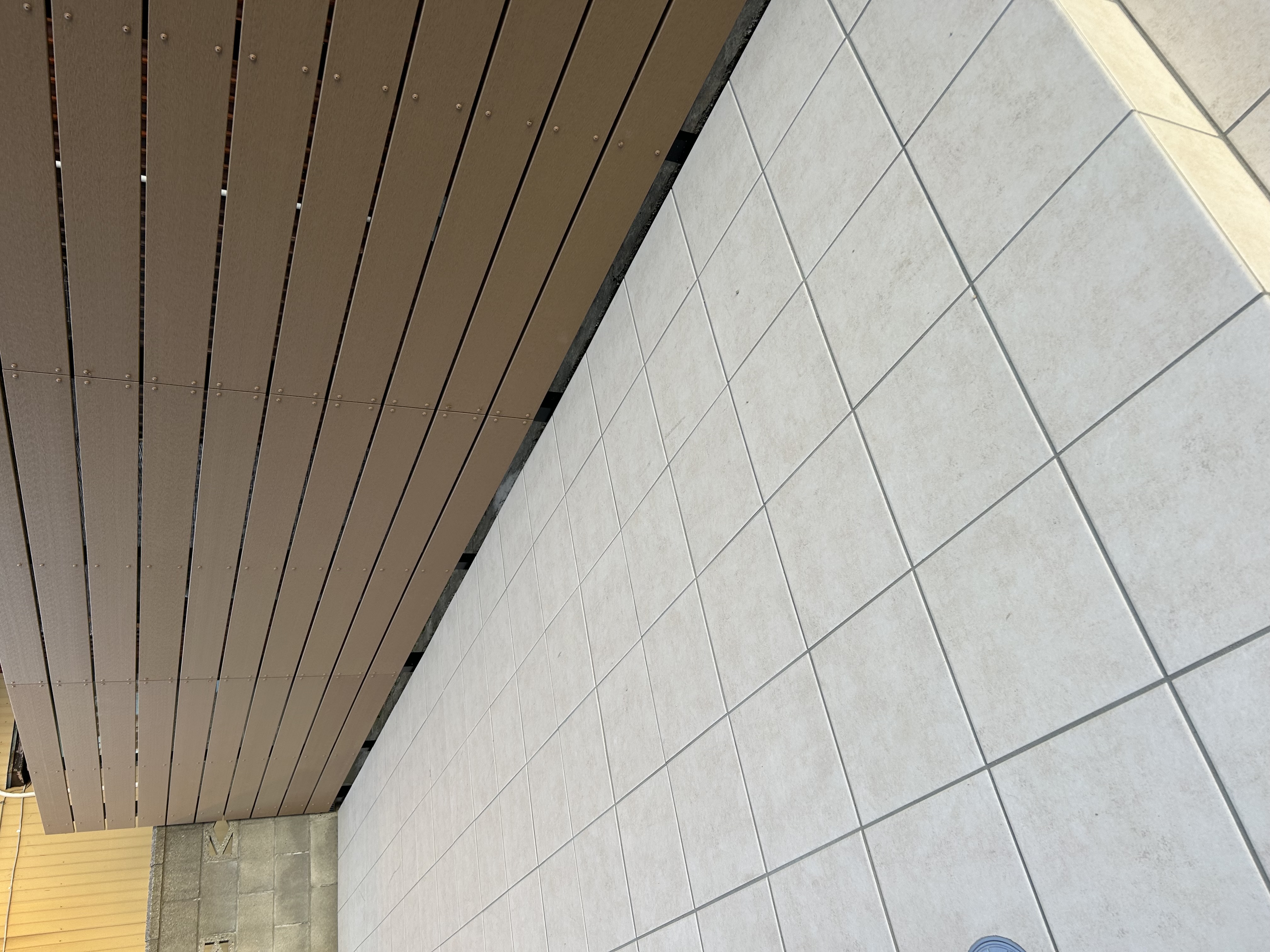 ����������ډB���t�F���X