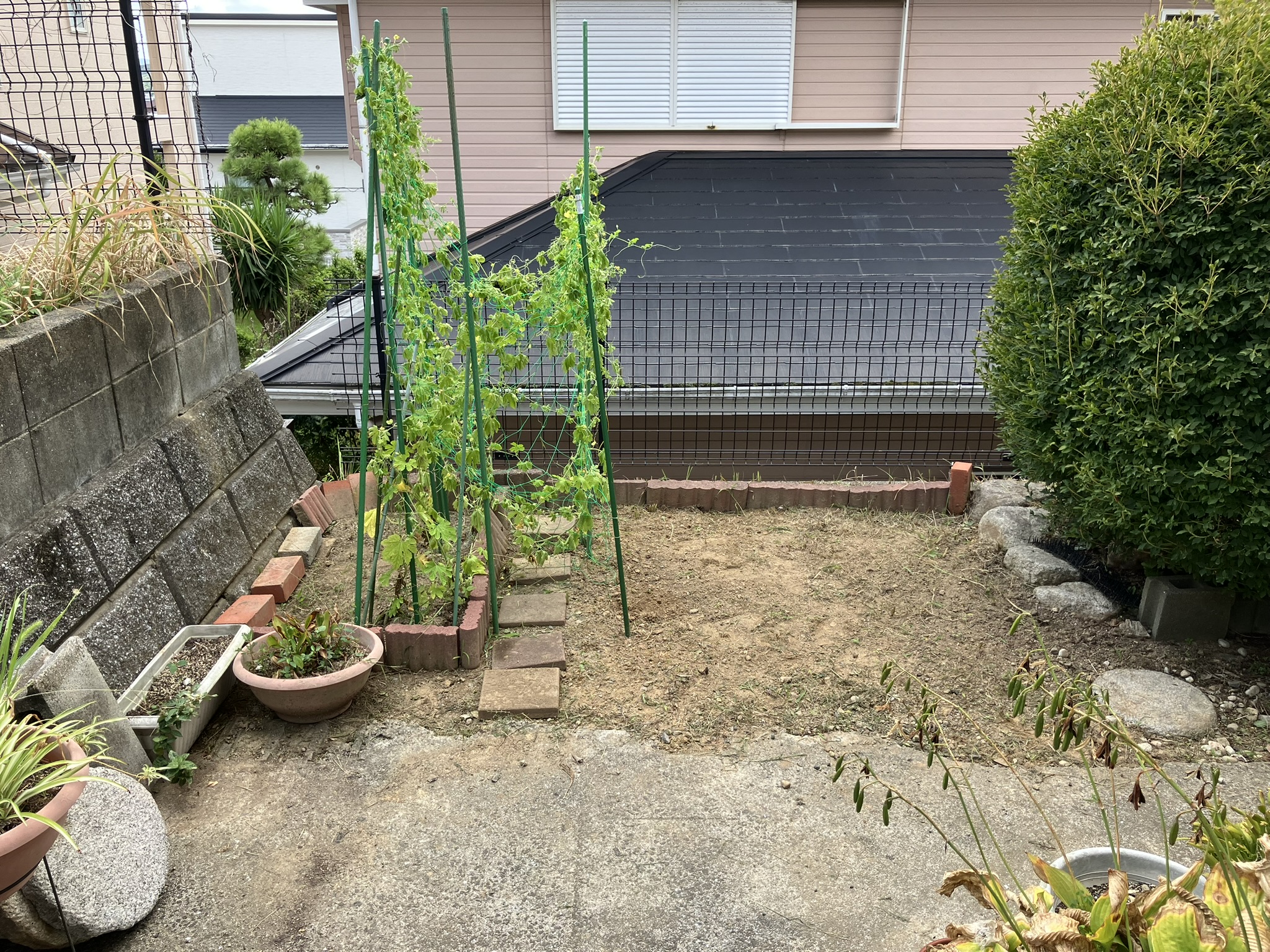 【一戸建てお庭の雑草草むしり、スッキリお庭】