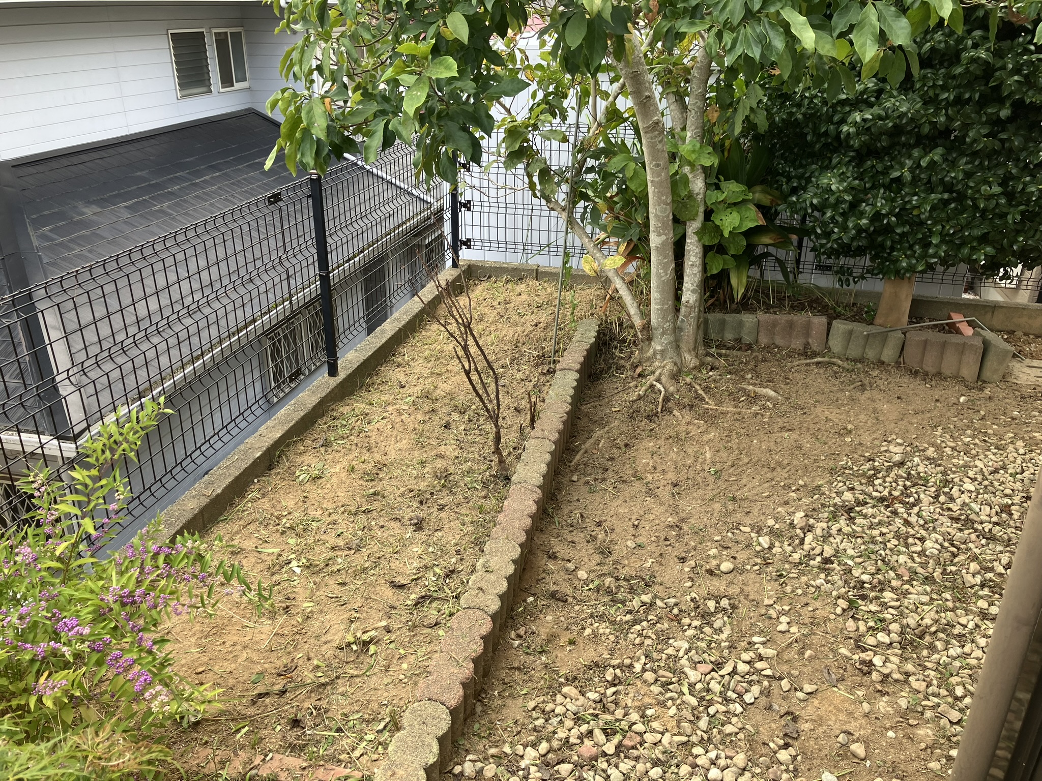 【一戸建てお庭の雑草草むしり、スッキリお庭】