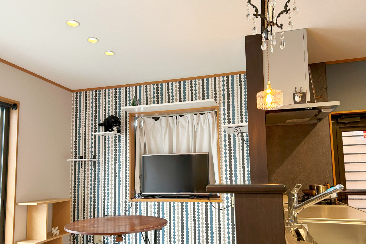 ネコちゃんと暮らす住まい