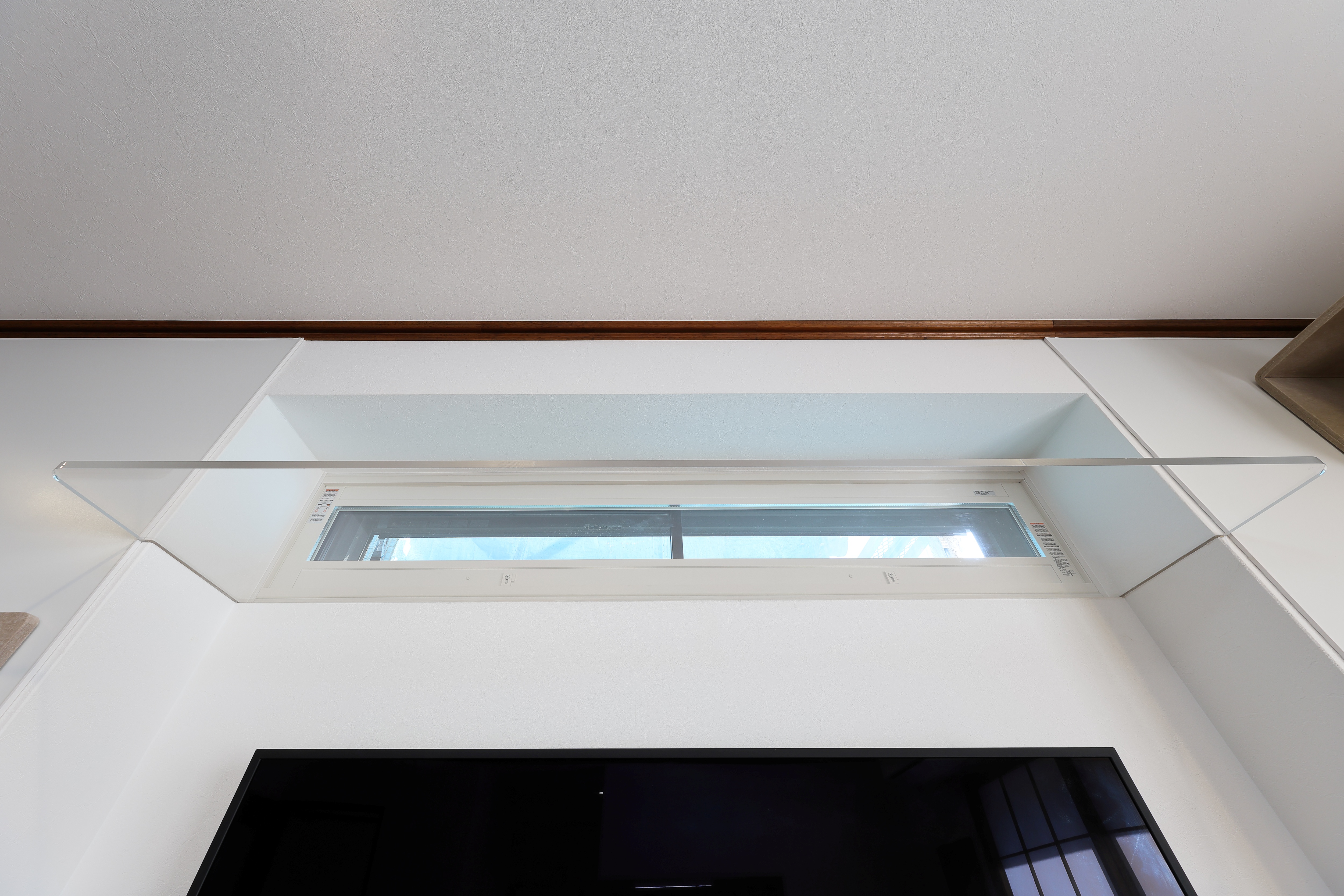 キャットウォークから外を見ている猫の肉球がかわいい住まい