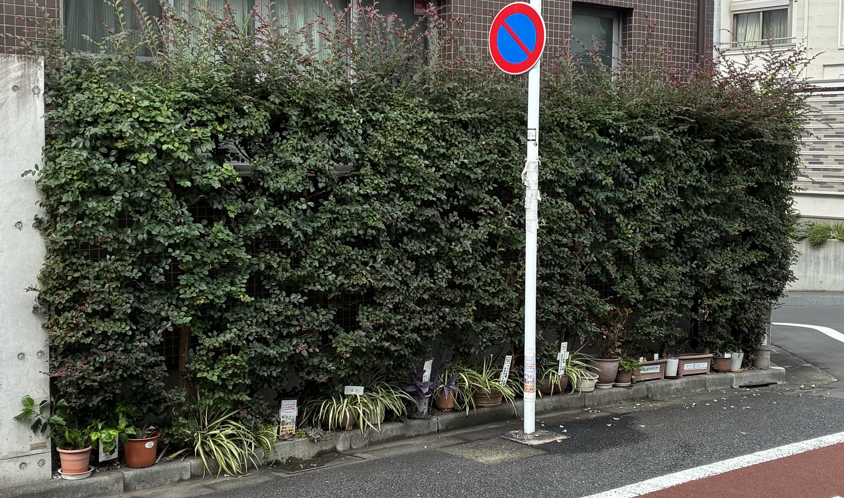 植栽剪定を不要にする外構