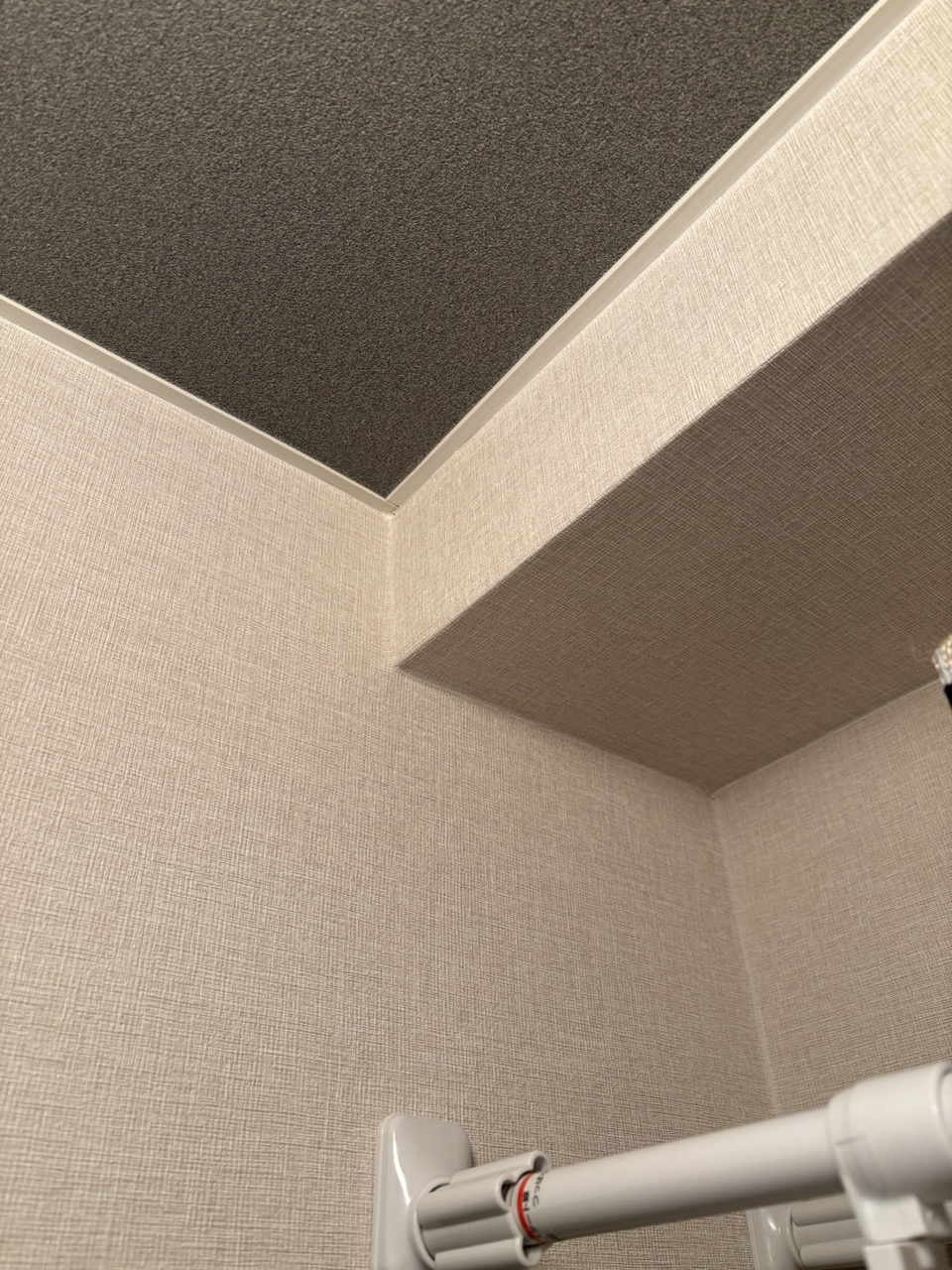 �V��n���������J�����������A�V�����̔����g������Ȃ���L���C�Ɏd�グ�Ē������B