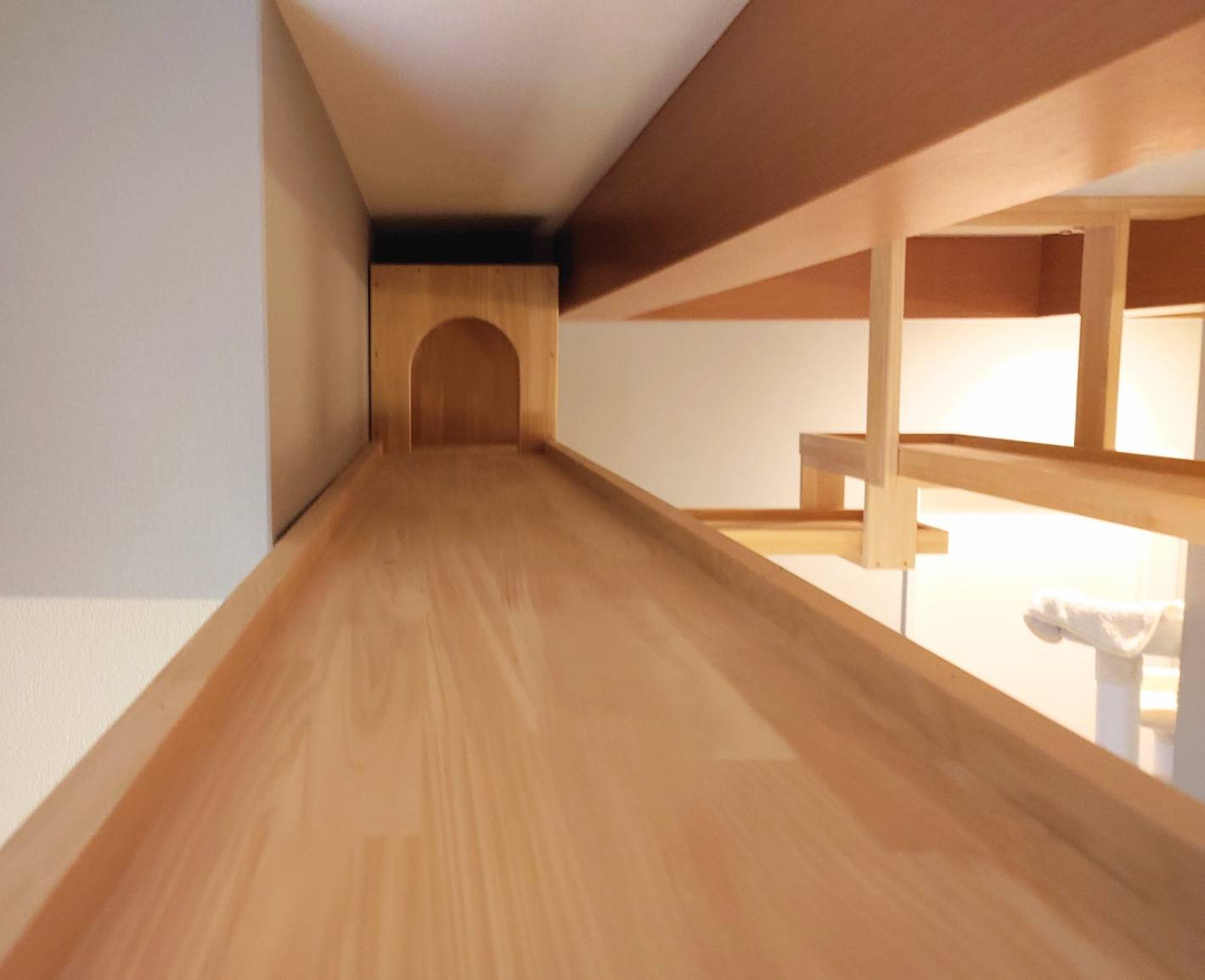 猫ちゃんの遊べるキャットウォーク