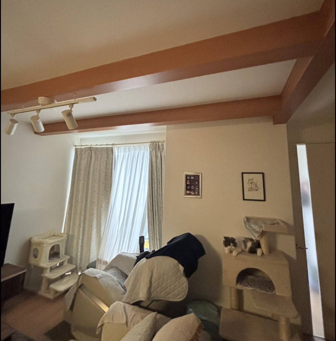 猫ちゃんの遊べるキャットウォーク