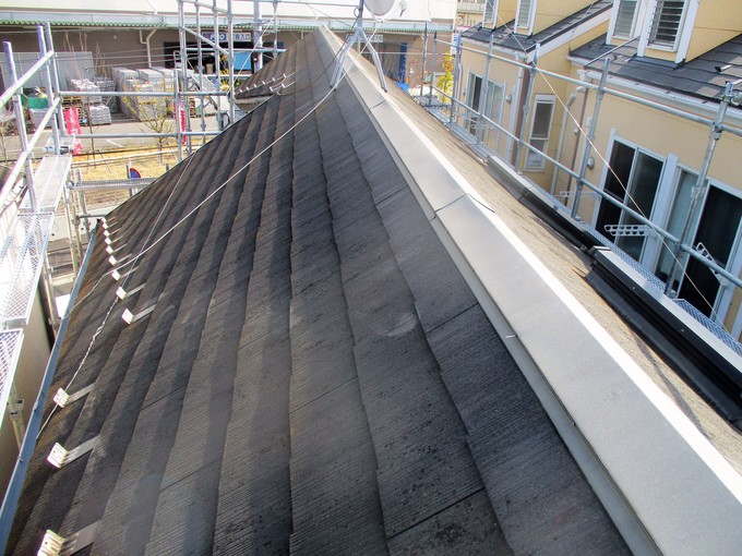 �{�H�O�F���̑�