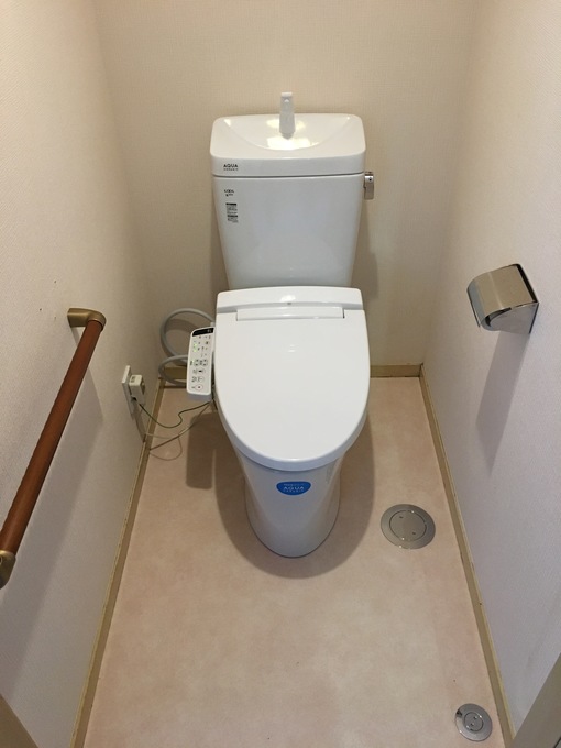 �������̂���g�C����