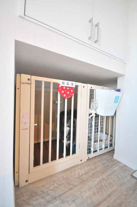 愛犬とゆったり過ごせるモダンリビング