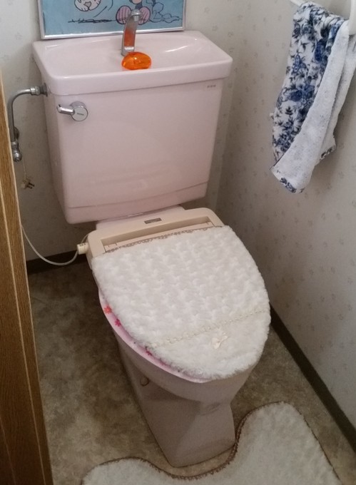 収納性あるトイレルーム