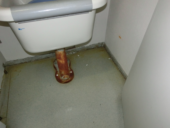 トイレが素敵な空間に大変身