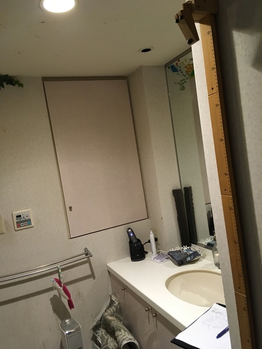 �{�H�O�F���̑�