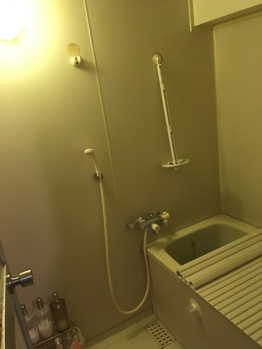 �{�H�O�F���̑�