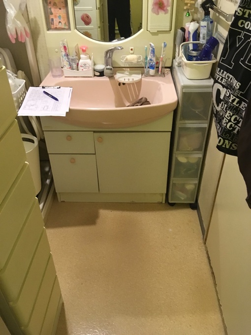 �{�H��F���̑�